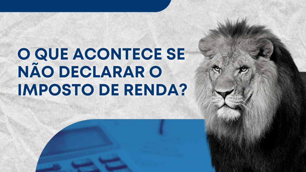 Read more about the article O QUE ACONTECE SE NÃO DECLARAR O IMPOSTO DE RENDA?