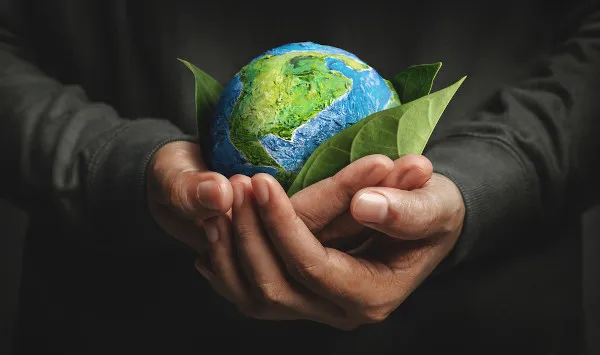 Read more about the article Sustentabilidade: Por que reduzir o uso de papel na empresa?