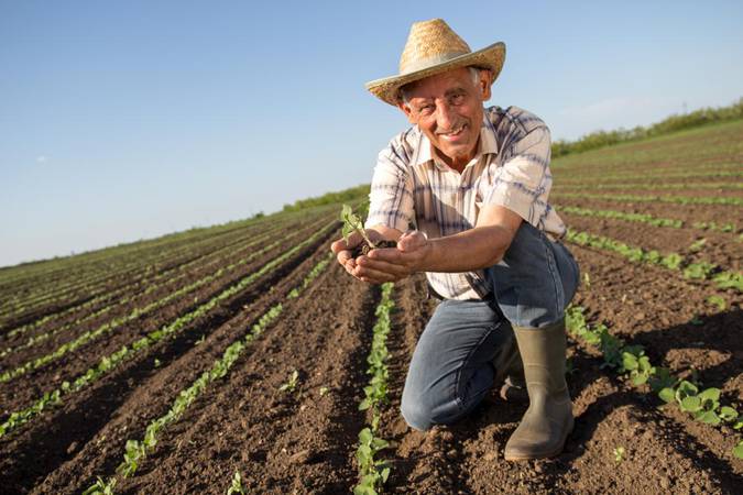 Read more about the article Cuidados que o produtor rural precisa ter com a fiscalização da Receita Federal