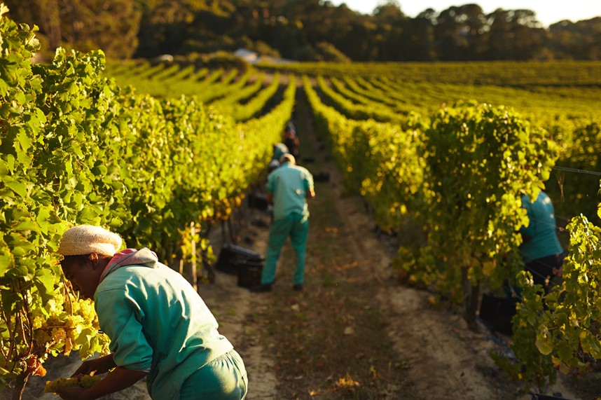 Read more about the article Última novidade da Receita Federal!  Os programas para 2024 do Livro Caixa da Atividade Rural e de Ganhos de Capital já estão disponíveis para download!